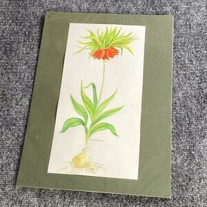 VTG Signed Botanical Watercolor Fritillaria Flower Study B Westbrook Dated 1998
